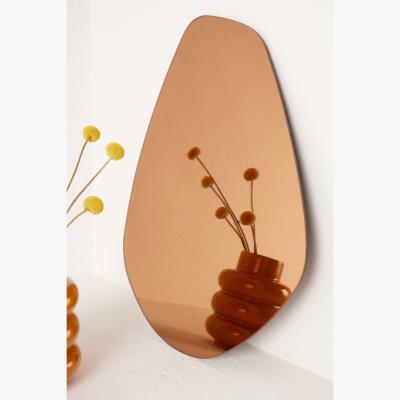 Anthropologie Organic Tinted Oval Wall Mirror
