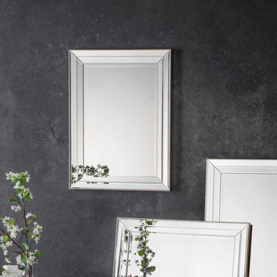 Knees Roswell Medium Rectangle Wall Mirror - Champagne