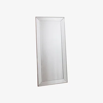 Knees Baskin Large Rectangle Full Length Mirror - Champagne