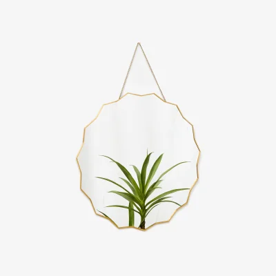 Oliver Bonas Sun Gold & Glass Round Hanging Wall Mirror