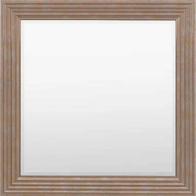 Perch and Parrow Gaze Square Mirror in Gold