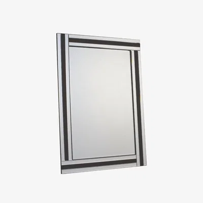 Pagazzi Turnbury 70x100cm Silver & Black Mirror