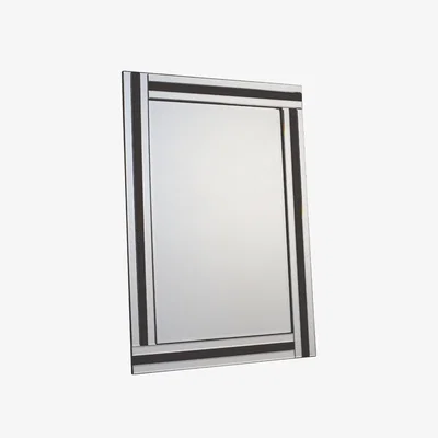 Pagazzi Turnbury 80x120cm Silver & Black Mirror