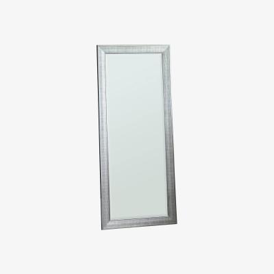 Pagazzi Ainsworth 153.5x65cm Silver Mirror