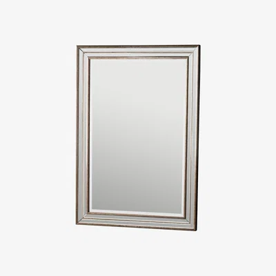 Pagazzi Squire 76x106cm Champagne Mirror