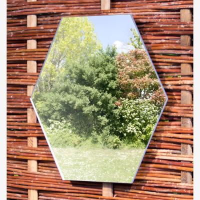 The Range Hexagonal Outdoor Mirror Wall Mounted Acrylic - Silver / 1