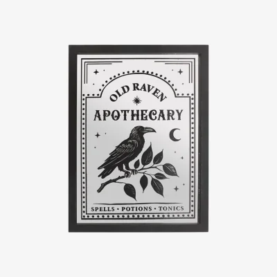 The Range Vintage Raven Apothecary Mirror Wall Art - Gothic Home Decor - Silver