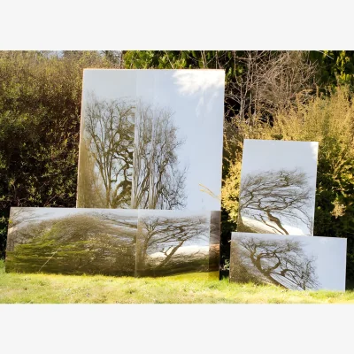 The Range Large Wall Mounted Rectangular Non Shatter Acrylic Garden Mirror - Gold / 5kg