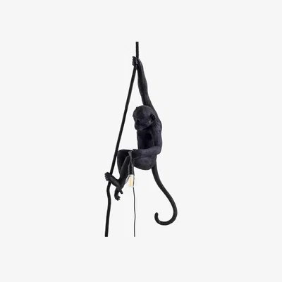 Amara Marcantonio Monkey Ceiling Lamp