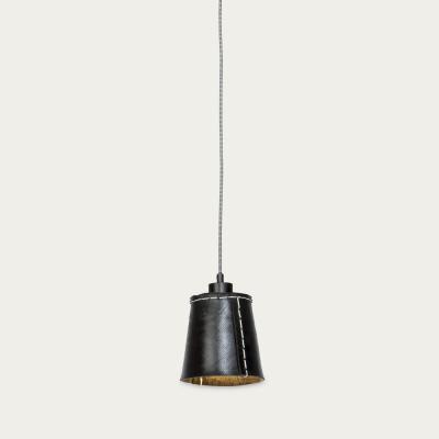 Bombinate.com Small Amazon Hanging Lamp