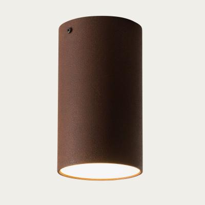Bombinate.com Rust Ceiling20 Lamp
