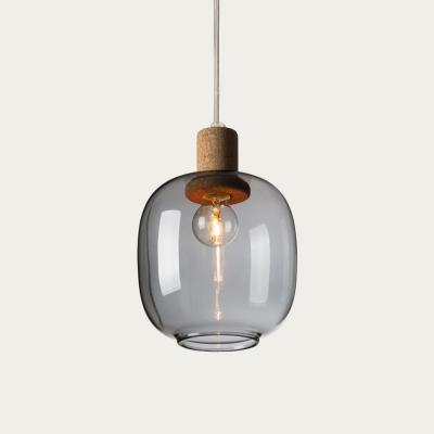 Bombinate.com Smoked Glass Picia Pendant Lamp