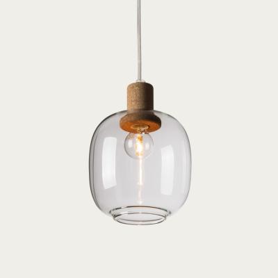 Bombinate.com Clear Glass Picia Pendant Lamp