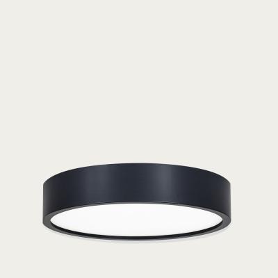 Bombinate.com Anthracite Zuwa Wood Ceiling and Wall Light - L
