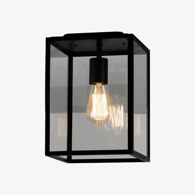 The Conran Shop Homefield 7956 Exterior Ceiling Light Black & Clear Glass