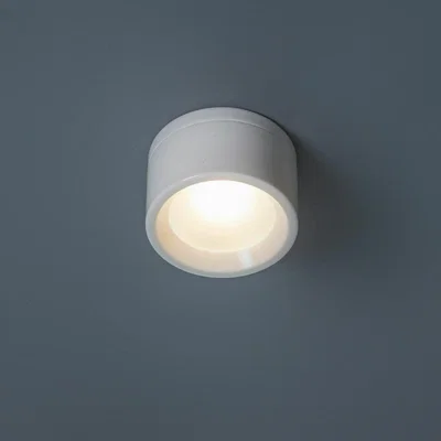 Graham & Green Reeves Bathroom Downlight