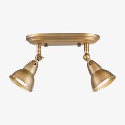 Knees dar lighting NAT7542 Nathaniel 2 Light Plate Spotlight Aged Brass
