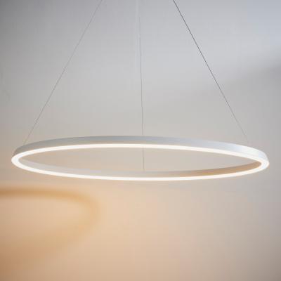 Knees Staten Pendant Light - White