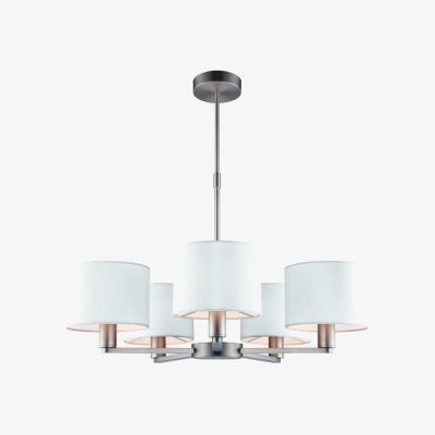 Olivia's Gallery Direct Daley Light Small 5 Matt Nickel Pendant