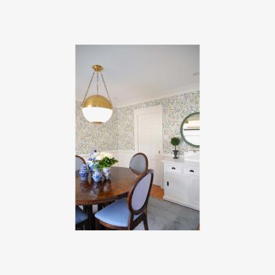 Olivia's Hudson Valley Lighting Sphere No.2 Brass 3 Light Large Pendant