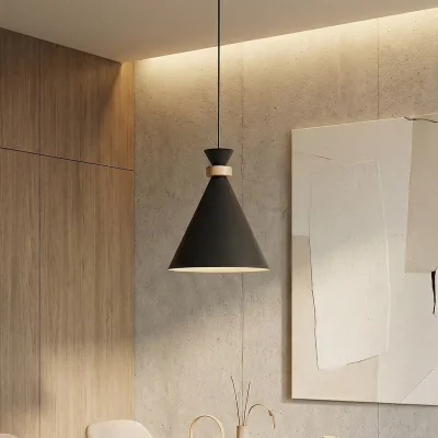 Pagazzi Zero 1 Light Pendant Black