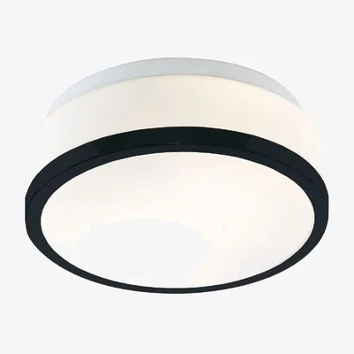Pagazzi Cheese Large IP44 Flush Black Ceiling Light