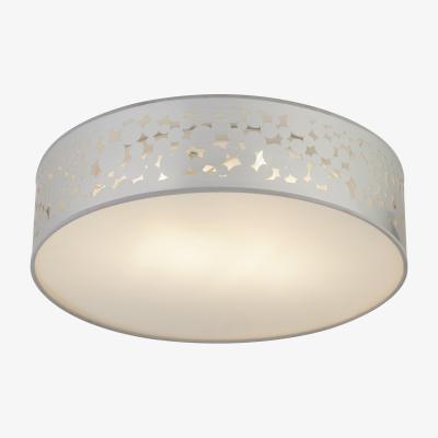 Pagazzi Laser Flush Silver Ceiling Light