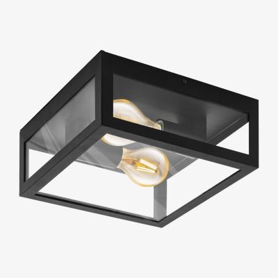 Pagazzi Eglo Amezola 2 light Flush Ceiling Light