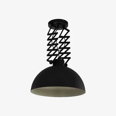 Pagazzi Donington 1 Light Black Extendable Ceiling Light