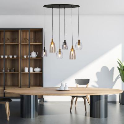 Pagazzi Divine 6 Light Black Metal and  Glass Cluster Pendant Light
