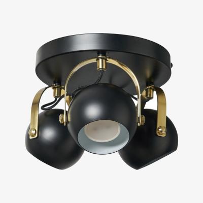 The Range Eyeball Adjustable Spotlight Plate - Black