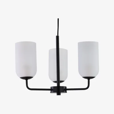 The Range Victoria 3lt Ceiling Pendant Light - Black And Frosted Glass