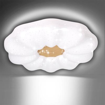 The Range 18W 24W LED Ceiling Light Flower Shape - White / 18W