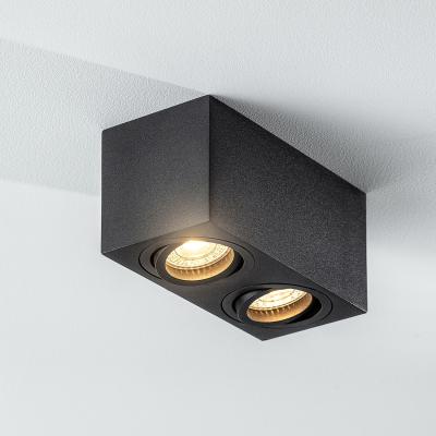 The Range CGC SASHA Black Twin Rectangular Ceiling Spotlight - black