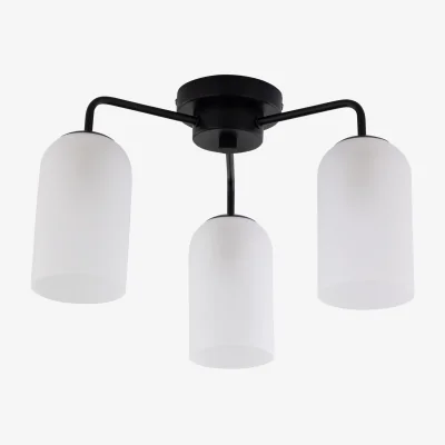 The Range Victoria 3lt Flush Ceiling Light - Black And Frosted Glass