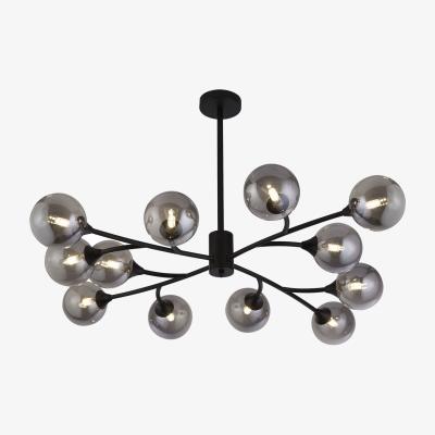 The Range Circuit Matt Black and Smoke Glass Ceiling - Black