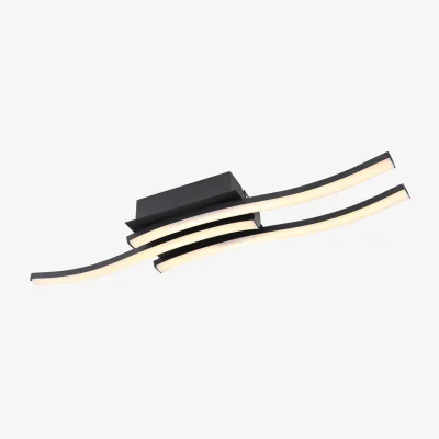 The Range Kasimir Ceiling Light Black