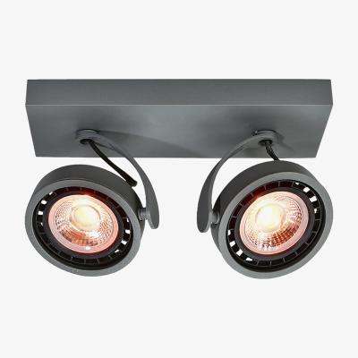 The Range CGC WALLY Anthracite Grey Double Surface Mounted Adjustable Spotlight - grey