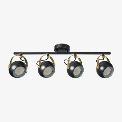 The Range Eyeball Adjustable Spotlight Bar - Black