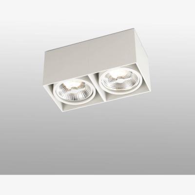 The Range Tecto 2 Light Square Surface Mounted Downlight White - White