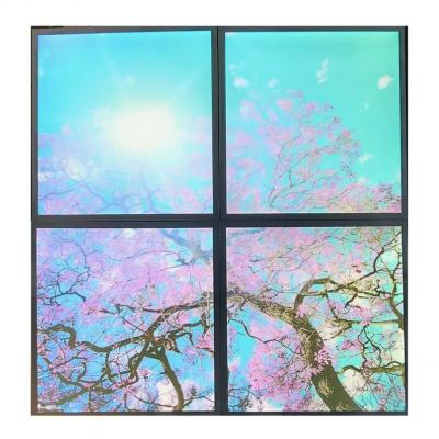 The Range Set of 4, 40w 60x60 LED Sky Panels with Cherry Blossom Trees 2D Effect - Daylight