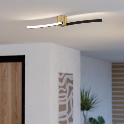 The Range Aieta Minimalist Ceiling Light - Black