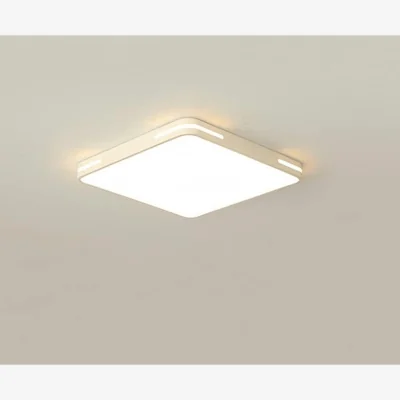 The Range Celing Light White - White