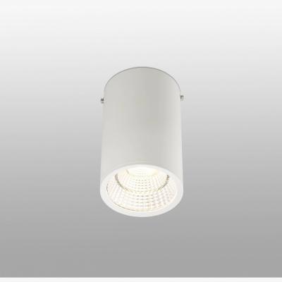 The Range Rel LED 1 Light Round Surface Mounted Downlight White - White / 10cm