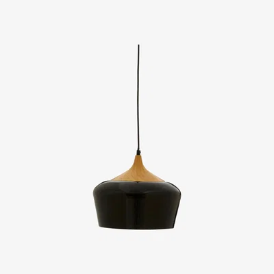 Teddy Beau Teddy's Collection Bryce Black Pendant Light