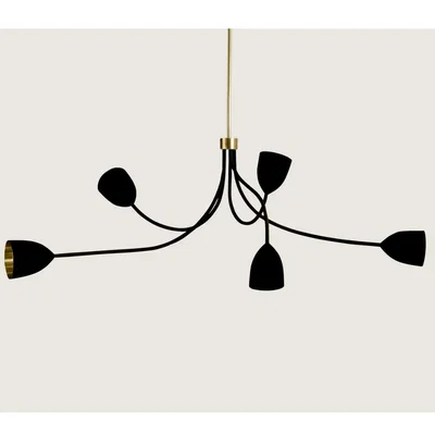 Tobias Oliver Porta Romana | Tulip Ceiling Light | Black