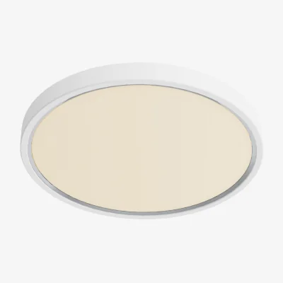 Westwing Dimmable LED Ceiling Lamp Noxy